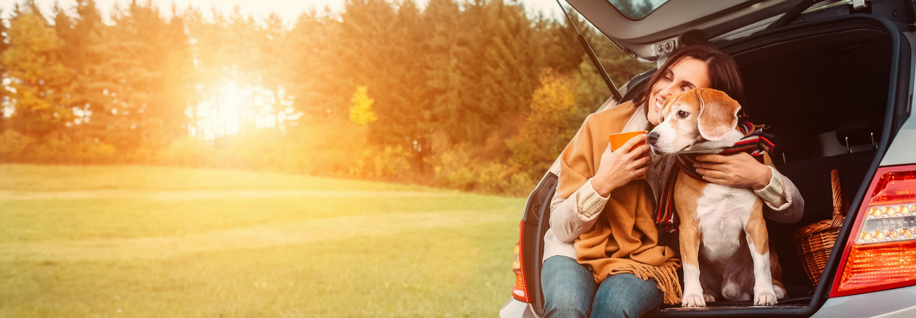 A woman with her dog sitting in the back of a car featured in a blog post about driving tips