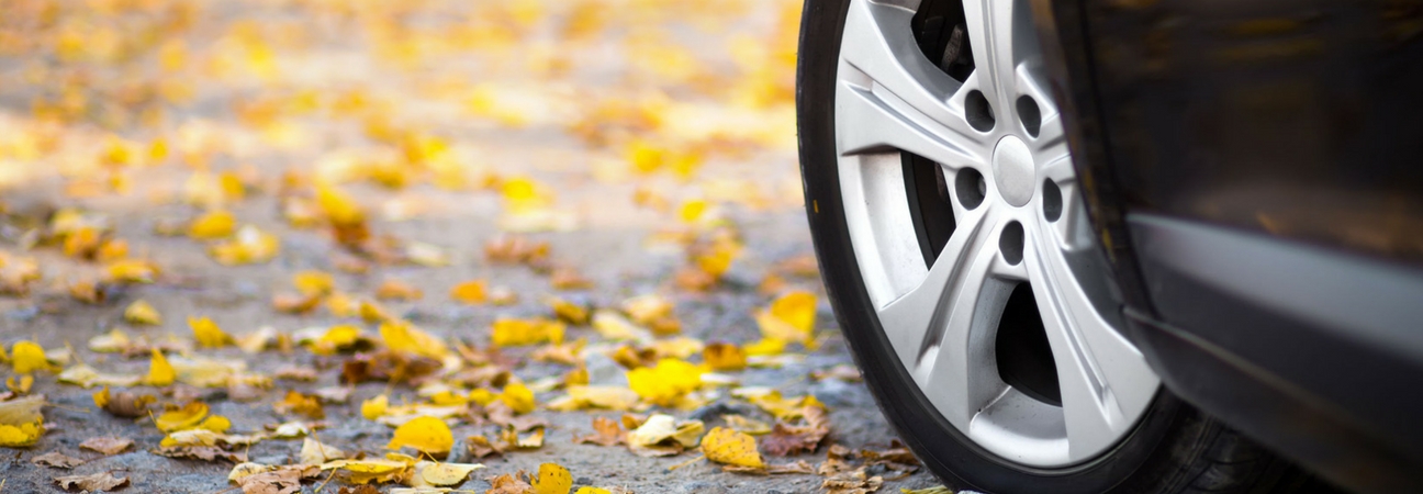 Car tire surrounded by fall leaves