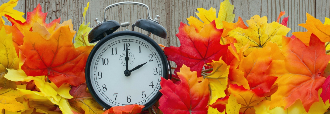 Alarm clock surrounded by fall leaves