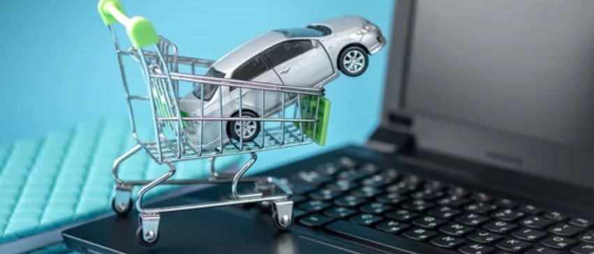 Zimbrick Online Shopping-2