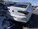 2023 Acura TLX Advance SH-AWD