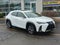 2021 Lexus UX 250h F SPORT