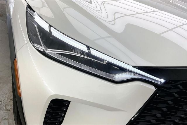 2025 INFINITI QX60 LUXE BLACK EDITION