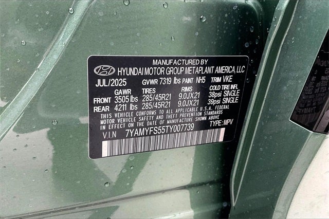 2026 Hyundai IONIQ 9 Performance Calligraphy