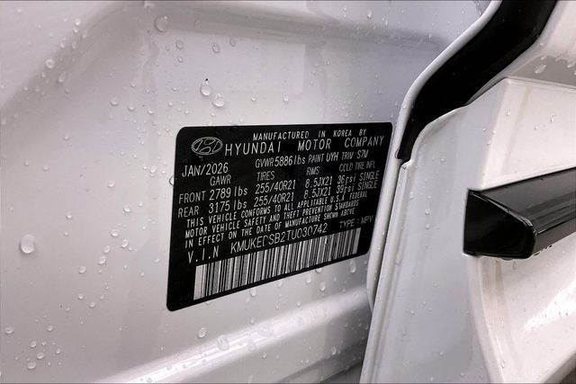 2026 Genesis GV60 PERFORMANCE